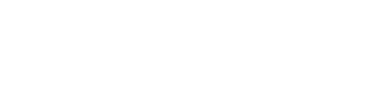 Das E-Partner ProgrammTM