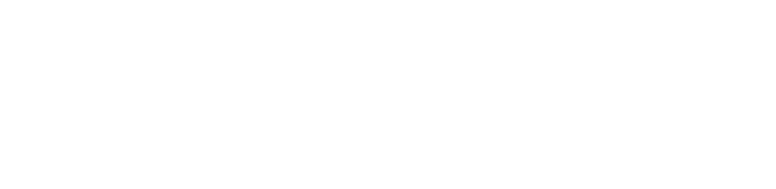 Spezifikationen MOMO Motion