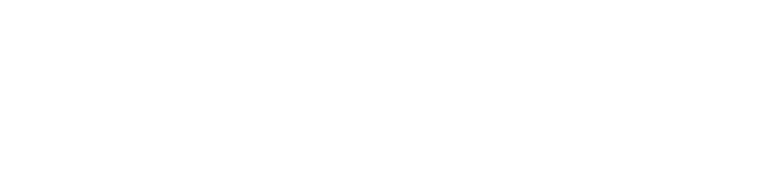 Spezifikationen MOMO Motion+
