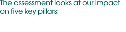 The assessment looks at our impact on five key pillars: 