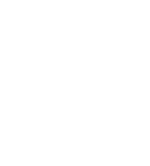 1internal 1external confidantial advisor