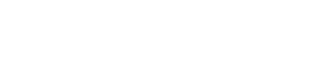 Specifications MOMO Motion