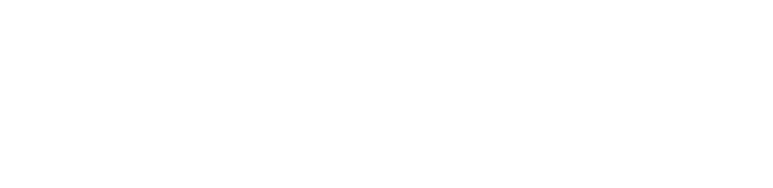 Specifications MOMO Motion+