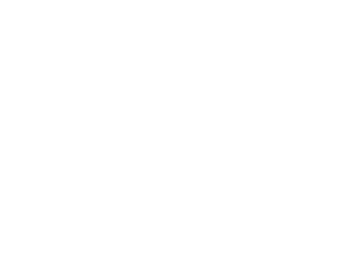 La familia MOMO