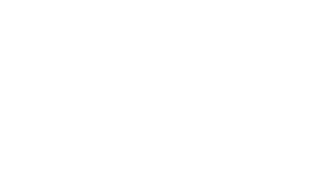 La familia MOMO est formada por cuatro grupos: • Accesorios • Motion+ • Motion • Componentes