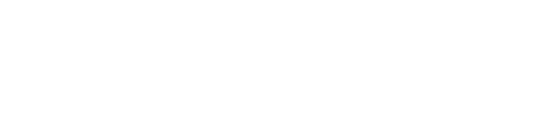 Especificaciones MOMO Motion