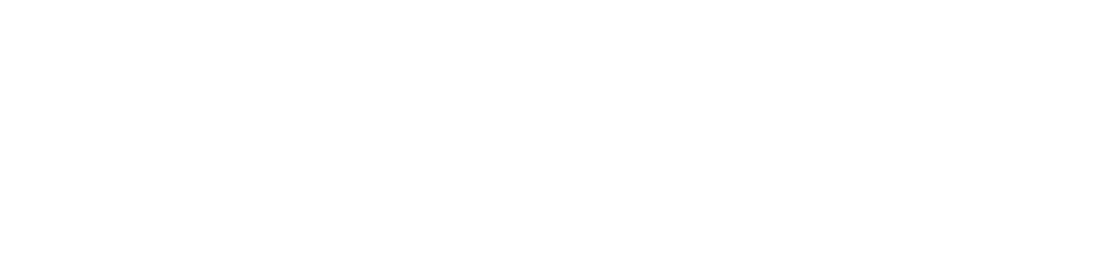 Especificaciones MOMO Motion+