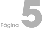 P gina 5