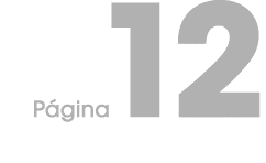 P gina 12