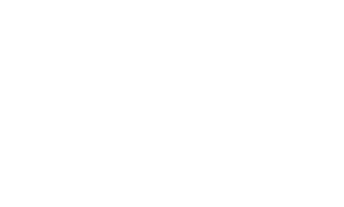 MOMO Motion