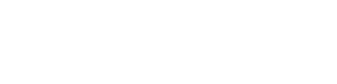Sp cifications MOMO Motion