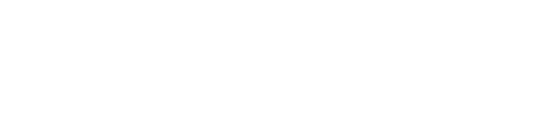 Sp cifications MOMO Motion+