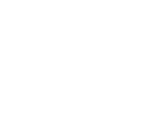 Gemotoriseerde liftsystemen en bevestigings oplossingen