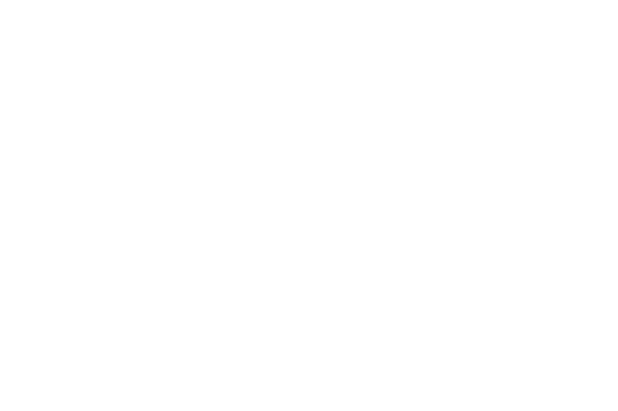 RISE serie elektrische displayliften Met de RISE serie elektrische displayliften kun je intu tief en veilig een scher...