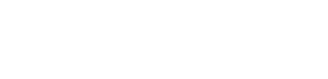 Specificaties MOMO Motion