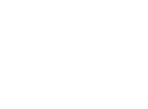 De MOMO familie