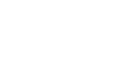 De MOMO familie bestaat uit 4 groepen: • Accessoires • Motion+ • Motion • Componenten