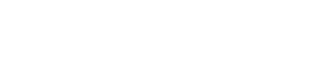 Specificaties MOMO Motion+